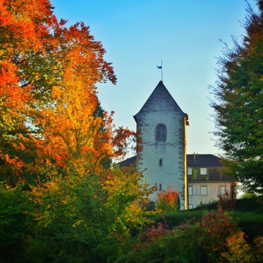 Lakelodge Romanshorn Eksteriør billede
