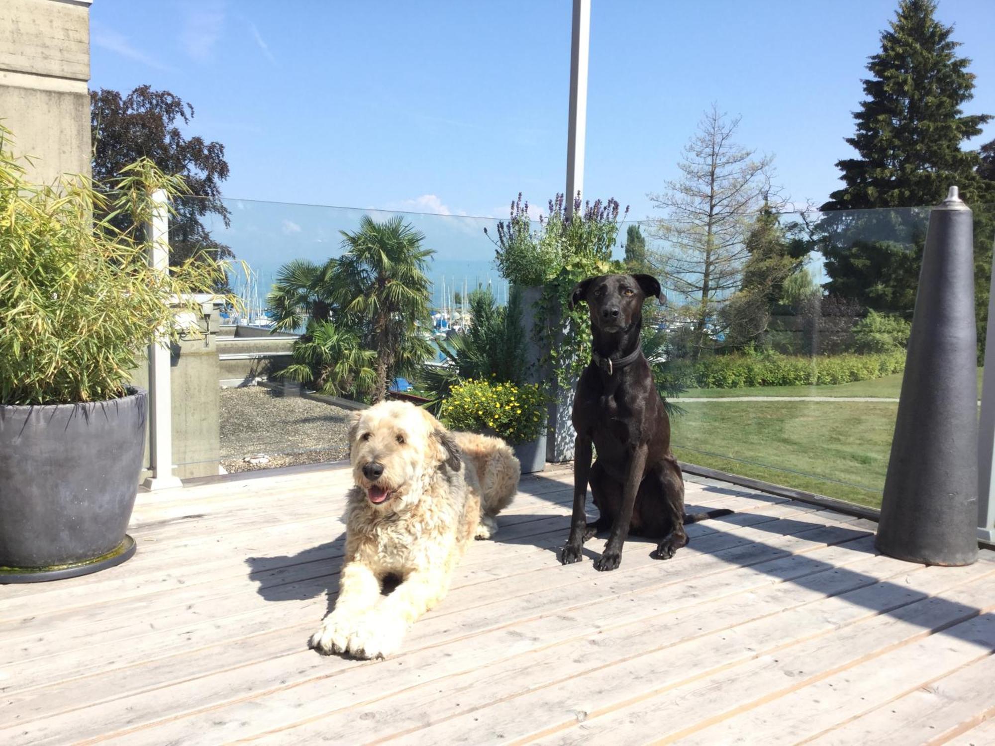 Lakelodge Romanshorn Eksteriør billede