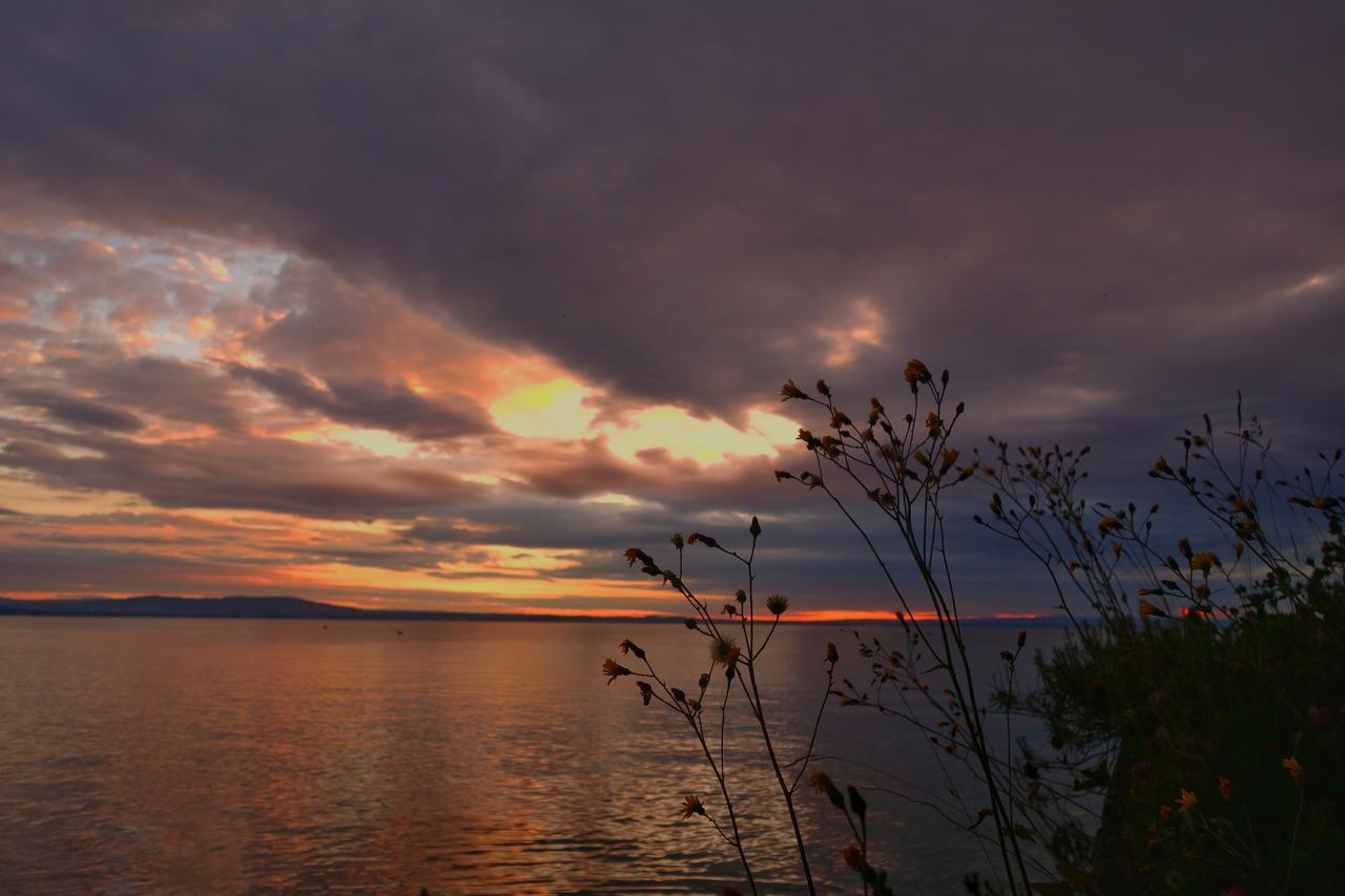 Lakelodge Romanshorn Eksteriør billede